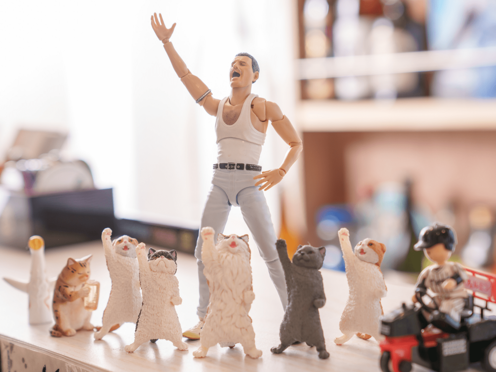 店内にディスプレイしている猫とフレディ・マーキュリーのフィギュア