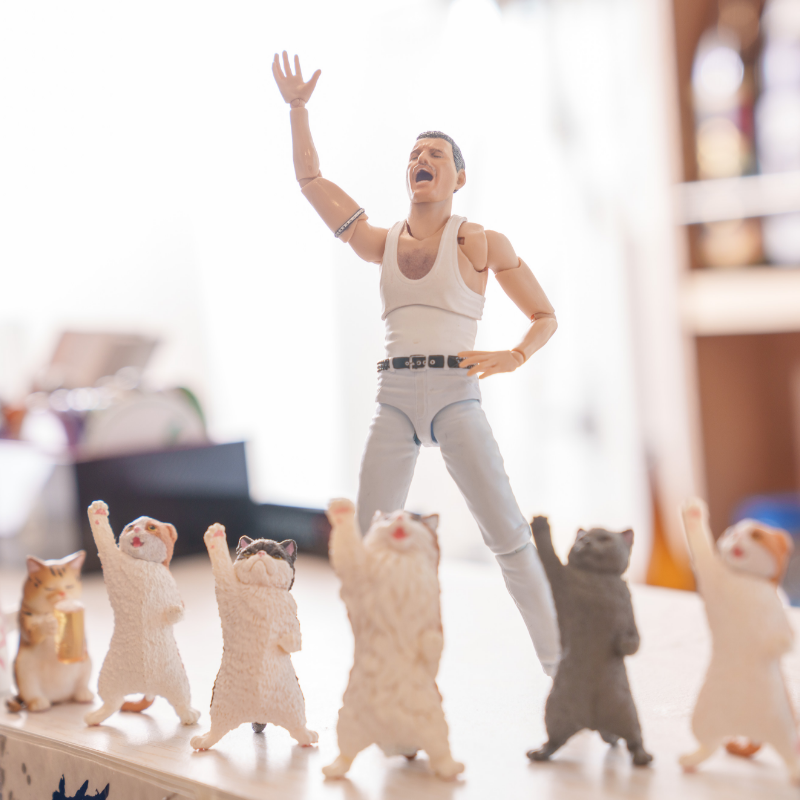 店内にディスプレイしている猫とフレディ・マーキュリーのフィギュア