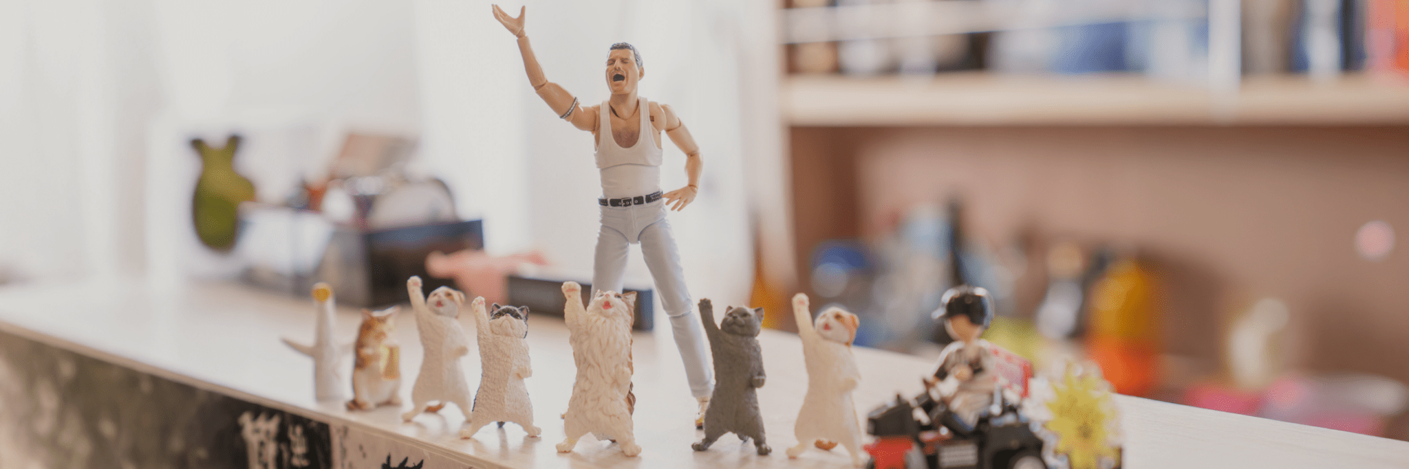 店内にディスプレイしている猫とフレディ・マーキュリーのフィギュア